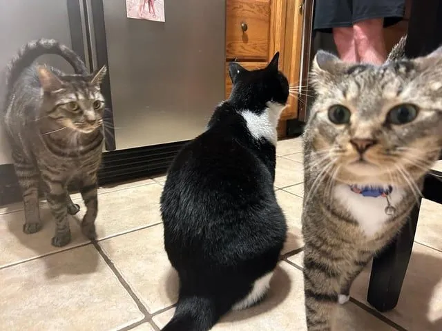 angle foto pas © berbagai sumber angle foto pas © berbagai sumber