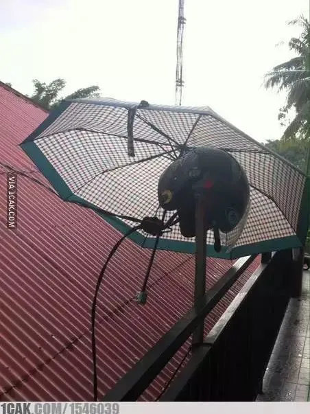 potret kocak jemur barang © berbagai sumber potret kocak jemur barang © berbagai sumber