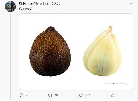 cuitan sambung lirik © Twitter cuitan sambung lirik © Twitter