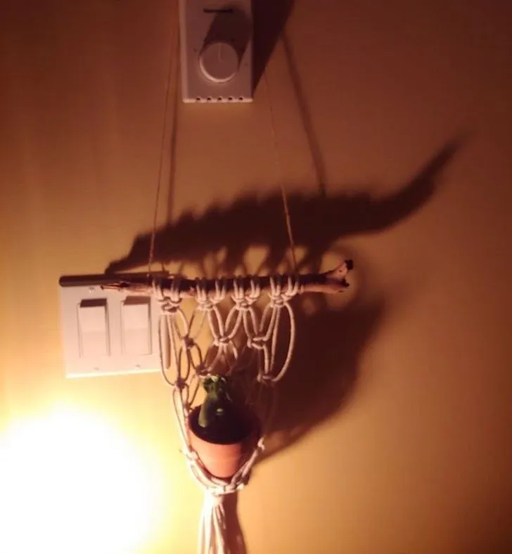 bayangan benda estetik © berbagai sumber