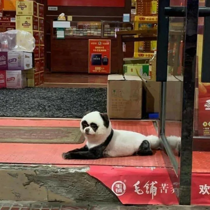 penampakan di depan toko © berbagai sumber