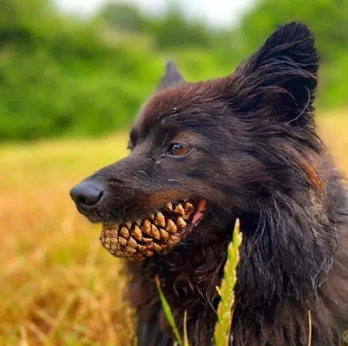 potret dilihat dua kali nggak sama © berbagai sumber potret dilihat dua kali nggak sama © berbagai sumber