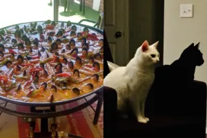 11 Potret ilusi optik yang sukses nge-prank mata, dilihat dua kali hasilnya tak sama