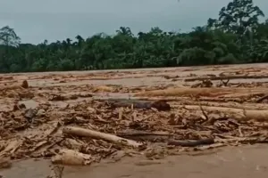 Polisi selidiki gelondongan kayu terseret banjir Sumatra, bentuk timsus penyelidikan