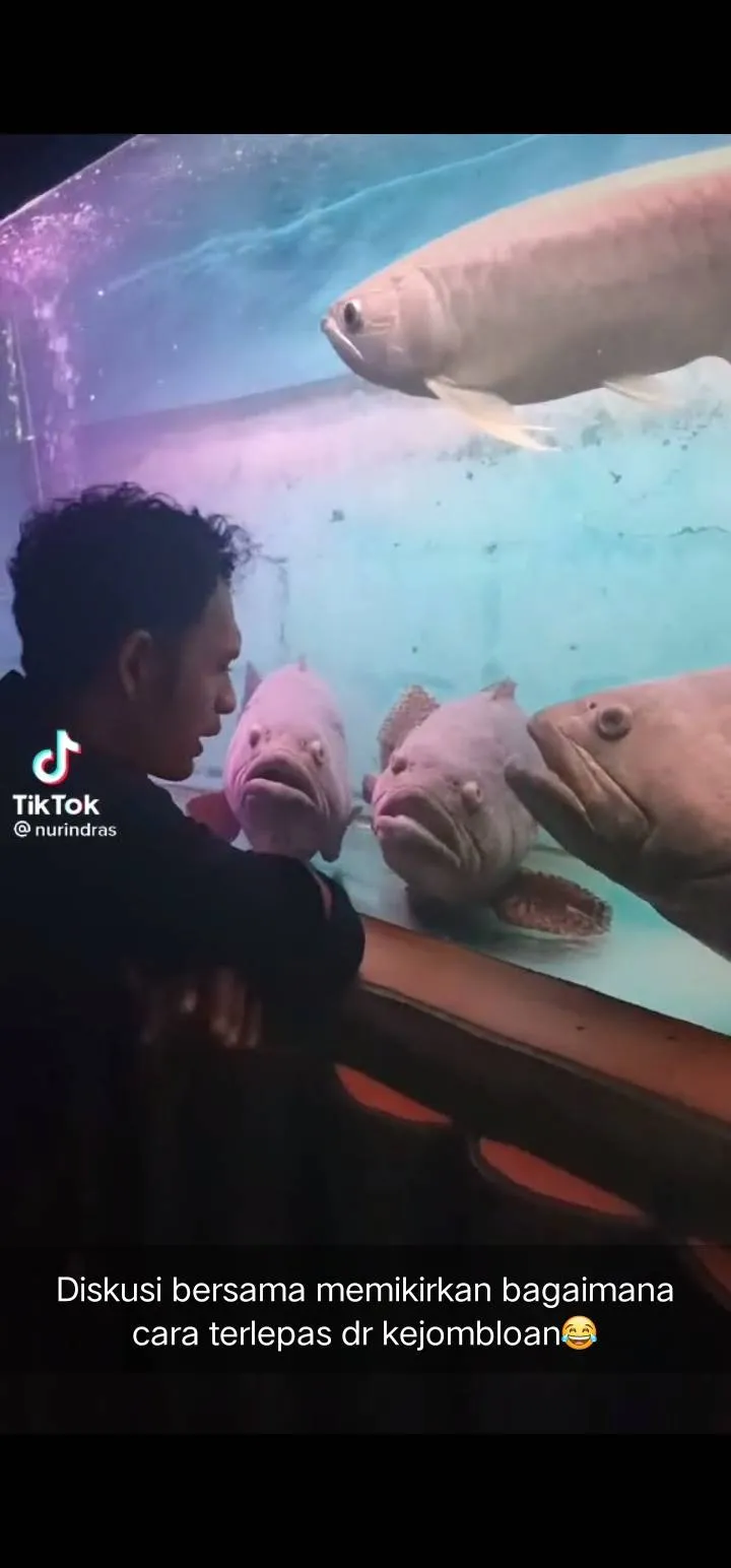 kelakuan absurd cowok © berbagai sumber