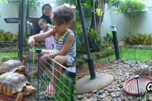 7 Potret taman rumah Lesti Kejora, minimalis tapi asri banget