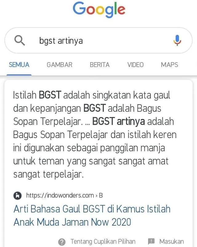 hasil pencarian google © berbagai sumber