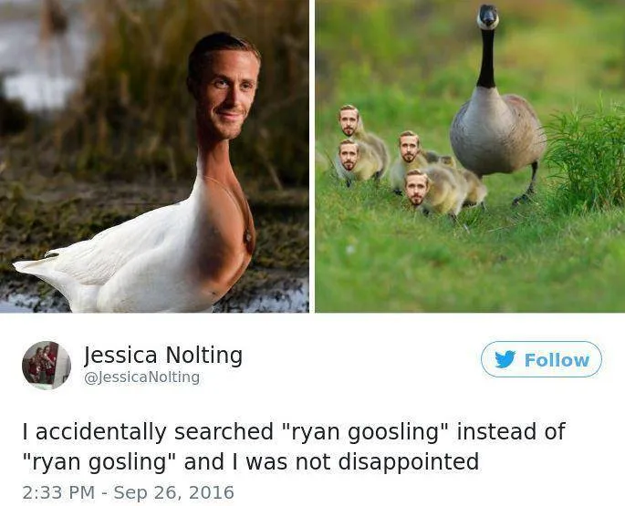 hasil pencarian google © berbagai sumber