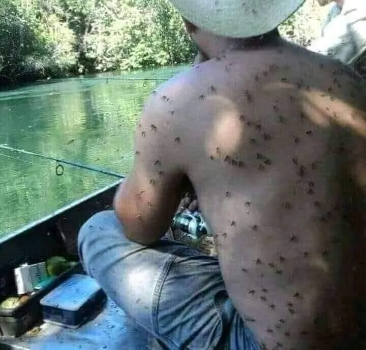 Bapak bapak apes © berbagai sumber