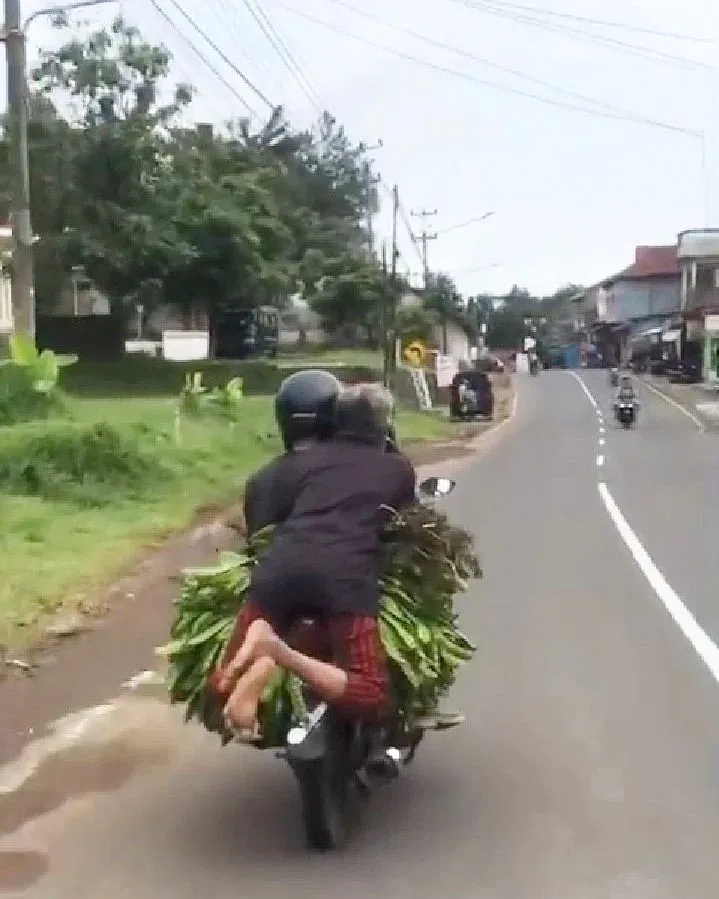 Bapak bapak apes © berbagai sumber