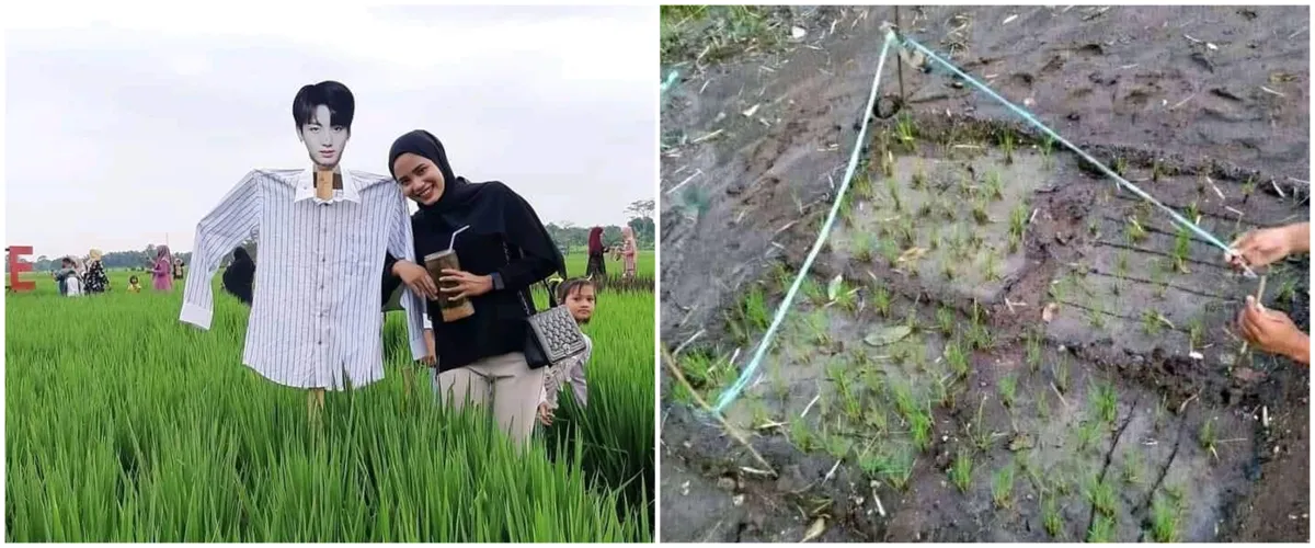 11 Penampakan sawah nyeleneh bikin geleng kepala, kreatif tapi absurd banget sampai susah percaya mata
