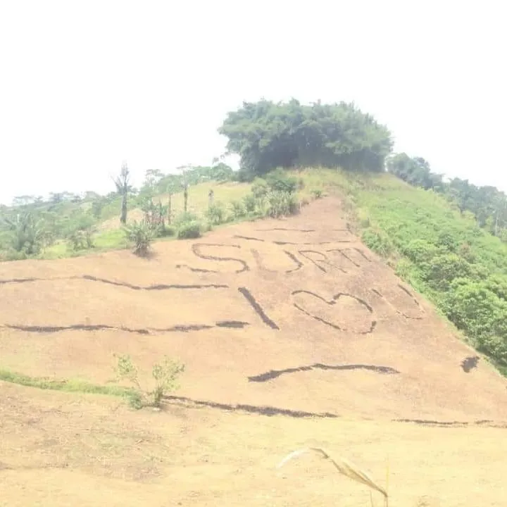penampakan nyeleneh di sawah © berbagai sumber penampakan nyeleneh di sawah © berbagai sumber