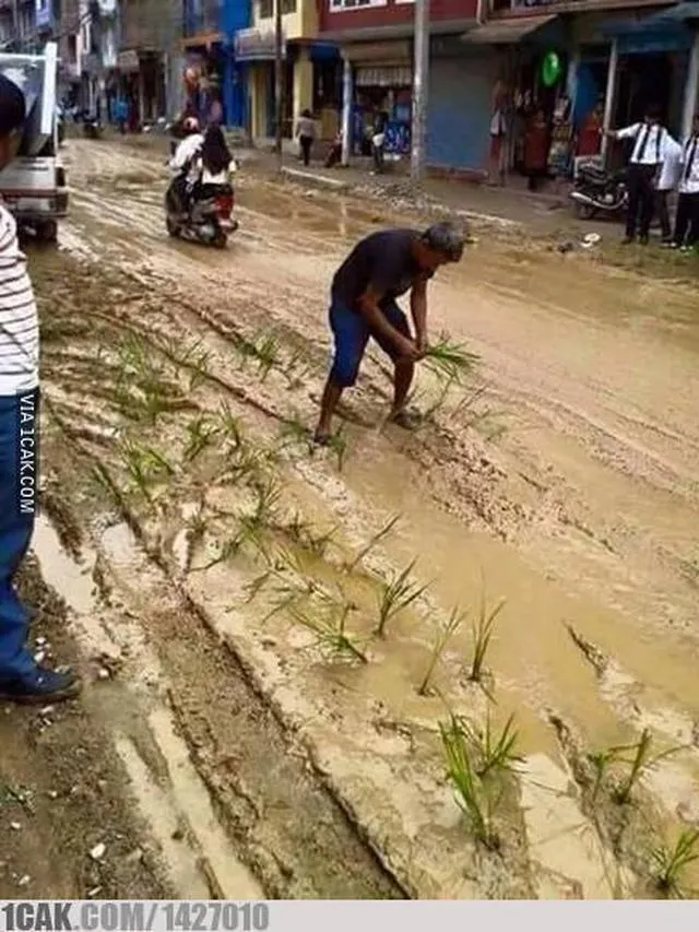 penampakan nyeleneh di sawah © berbagai sumber penampakan nyeleneh di sawah © berbagai sumber