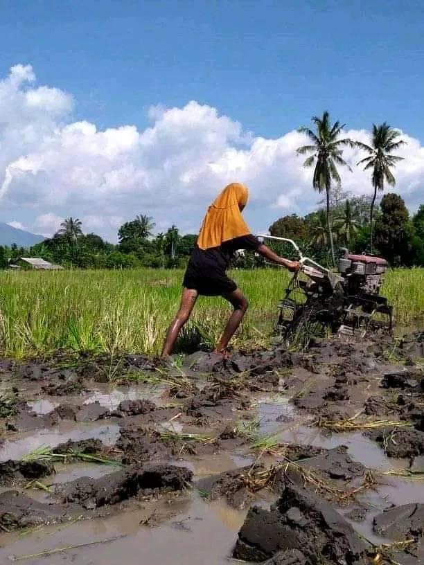 penampakan nyeleneh di sawah © berbagai sumber penampakan nyeleneh di sawah © berbagai sumber