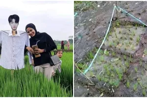 11 Penampakan sawah nyeleneh bikin geleng kepala, kreatif tapi absurd banget sampai susah percaya mata