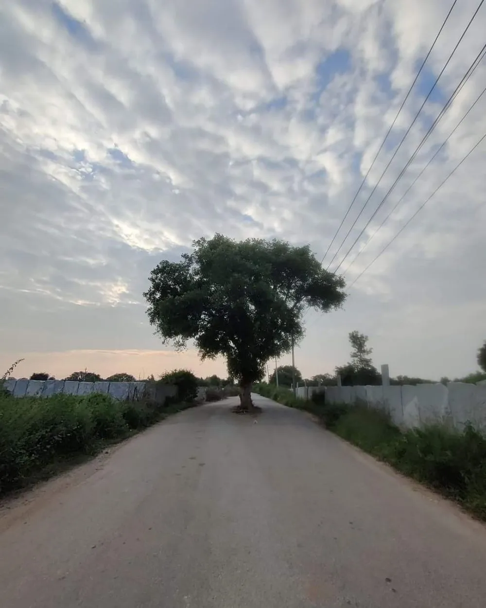 penampakan nyeleneh di tengah jalan raya © berbagai sumber