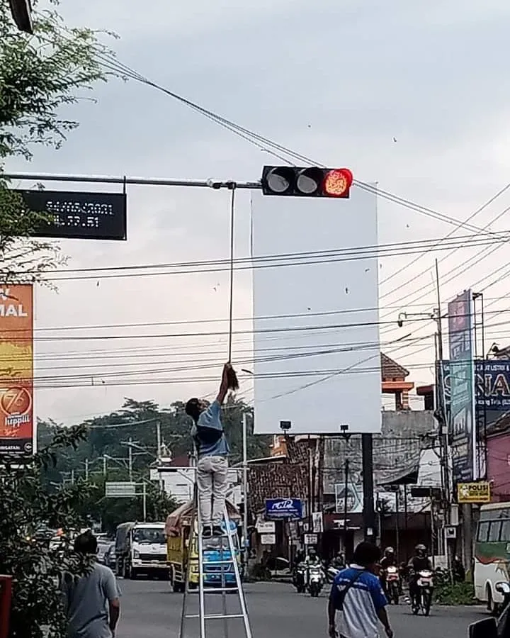 penampakan nyeleneh di tengah jalan raya © berbagai sumber