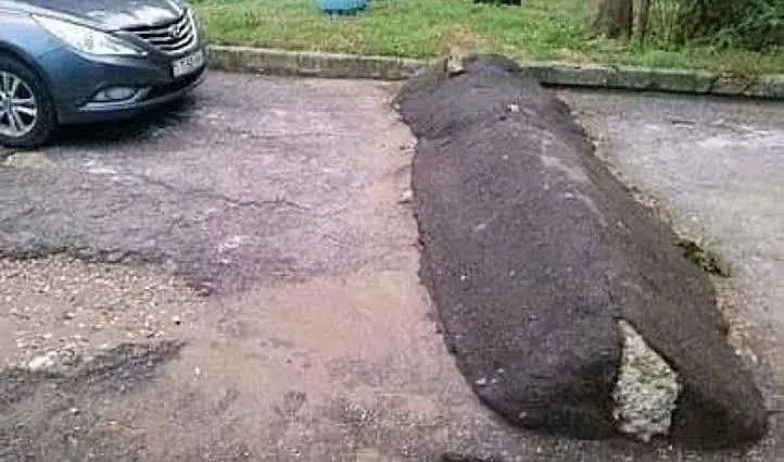 penampakan nyeleneh di tengah jalan raya © berbagai sumber