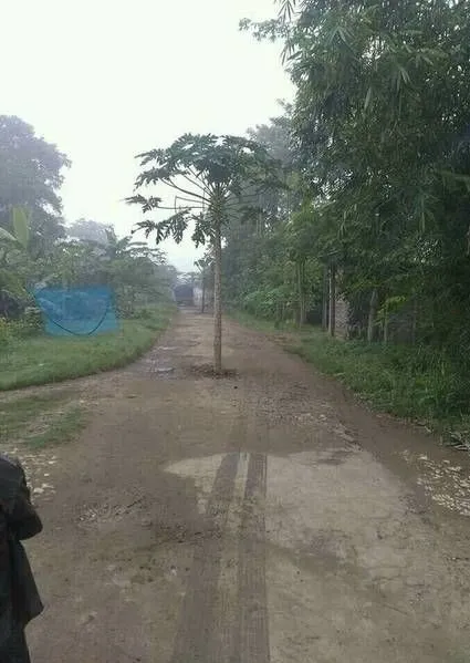 penampakan nyeleneh di tengah jalan raya © berbagai sumber