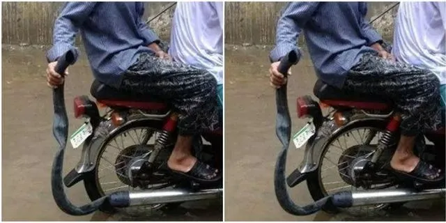 pengendara nyusahin diri © berbagai sumber pengendara nyusahin diri © berbagai sumber