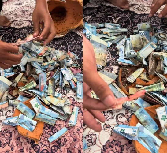 Awalnya curiga celengan terasa ringan © TikTok