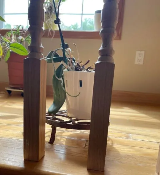 wadah mirip wajah © berbagai sumber wadah mirip wajah © berbagai sumber