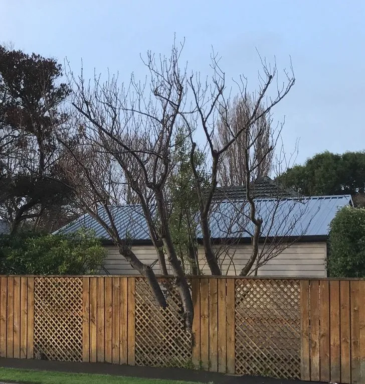 dunia mirip the matrix © berbagai sumber