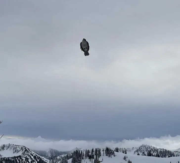 dunia mirip the matrix © berbagai sumber