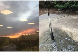 Dunia ini simulasi, 11 potret 