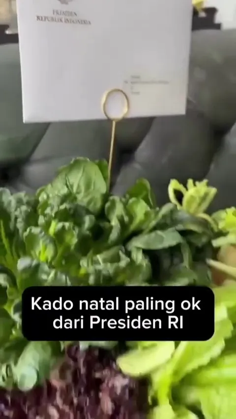 Hadiah natal Prabowo untuk Hotman Paris © 2025 Instagram