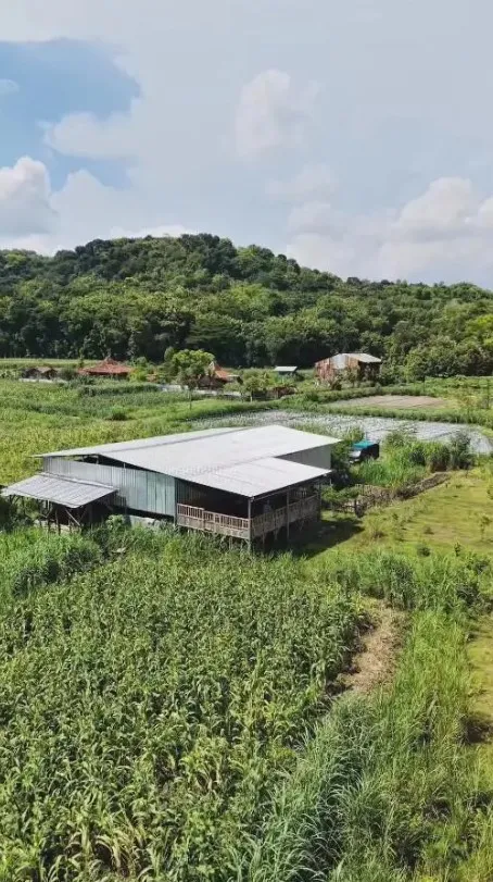 Ditto dan Ayudia punya peternakan © Instagram