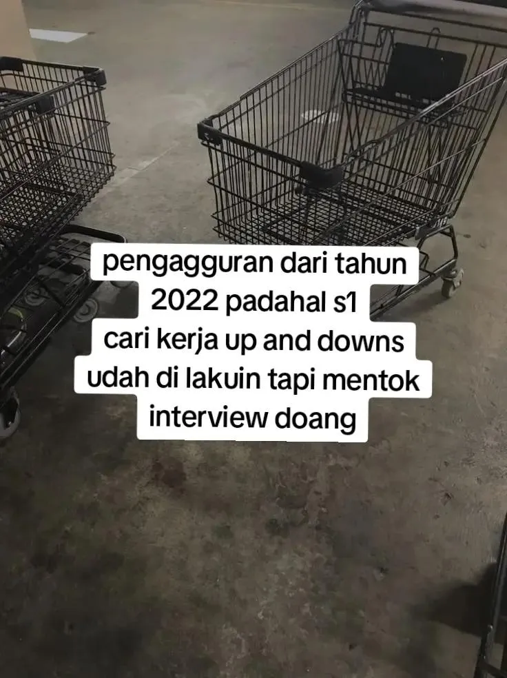 Curhatan wanita lulusan sarjana sulitnya dapat kerja © TikTok