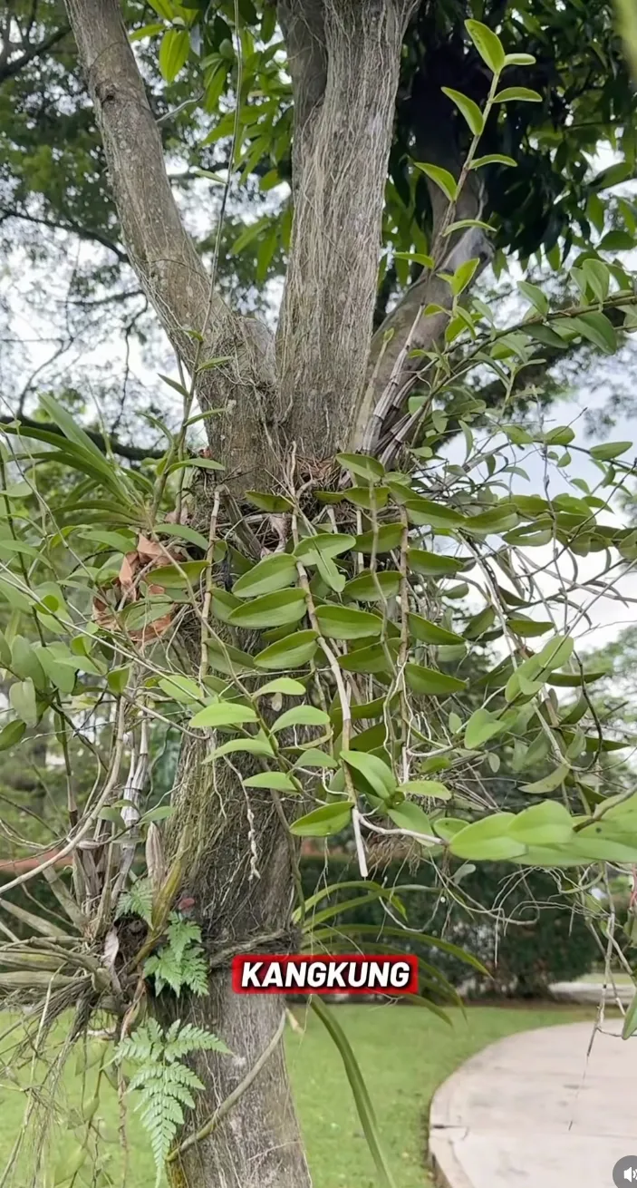 Manfaat puasa 48 jam Instagram @deelestari