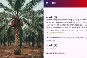 Badan Bahasa ubah definisi sawit jadi pohon, ilmu botani tunjukkan perbedaannya dengan pohon asli