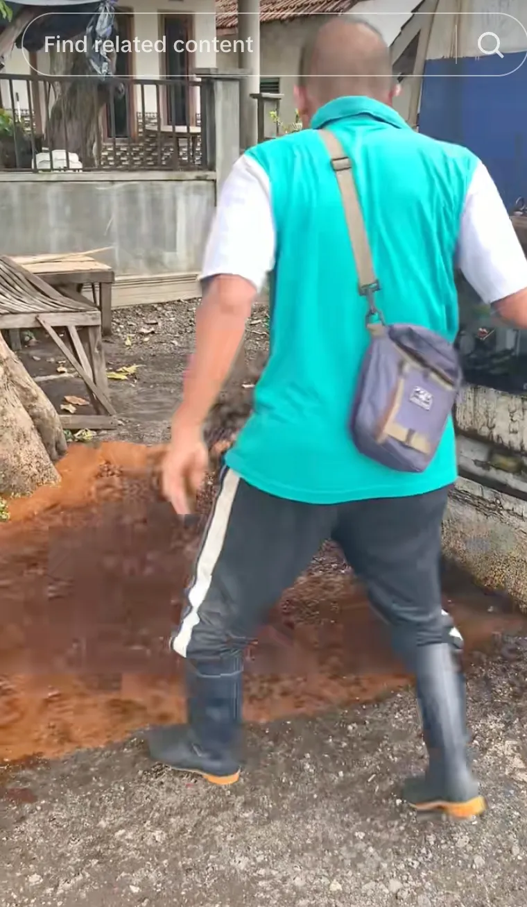 Sopir Kena Tetes Tebu TikTok @nafaaudio0