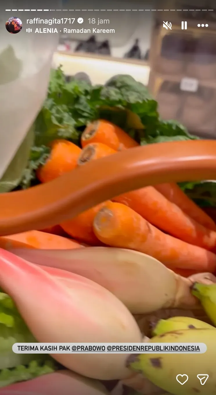 hampers lebaran prabowo subianto berbagai sumber hampers lebaran prabowo subianto berbagai sumber