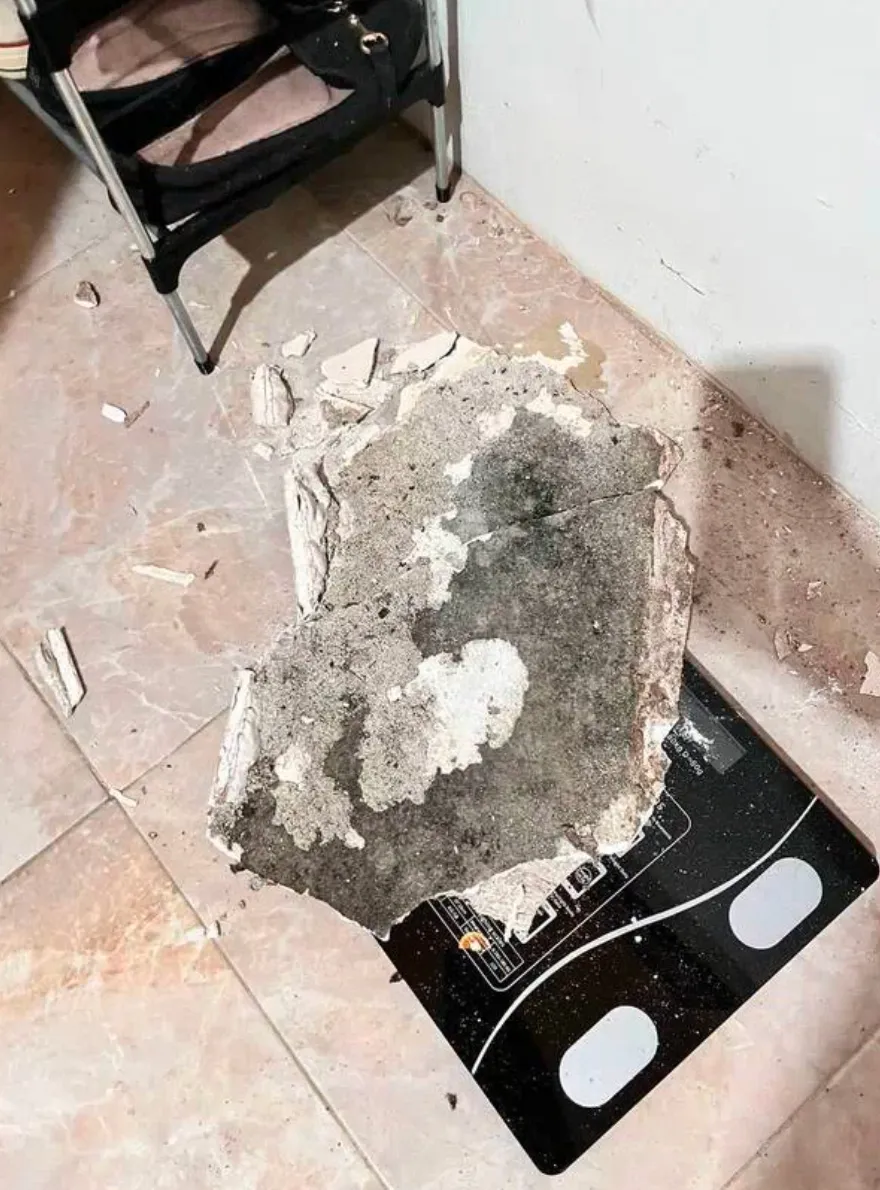 Kisah penyelamatan Allah TikTok/@ntslvp_