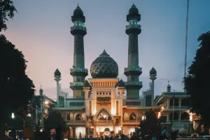 Trik Menanam Kangkung di Kaleng Bekas Lebaran, Hemat dan Mudah