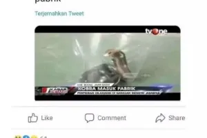 11 Jawaban kocak ketika orang absurd komentari cerita di medsos, dikatakan salah juga tidak benar