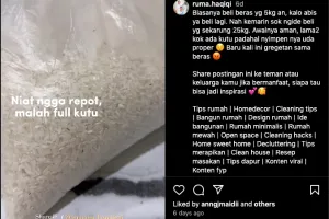 Trik ampuh mengusir kutu beras andalkan 2 bahan dapur, auto kabur dalam hitungan menit