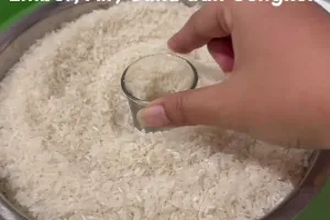 Trik ampuh mengusir kutu beras andalkan 2 bahan dapur, auto kabur dalam hitungan menit