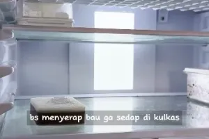 Tak perlu beli pewangi khusus, ini trik usir bau busuk di kulkas cukup andalkan 1 alat dan bahan dapur