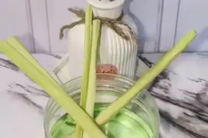 Trik usir nyamuk pakai 1 jenis rempah, ruangan jadi wangi tahan lama dan tak bikin batuk