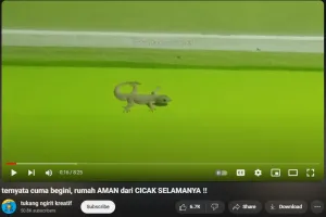 Tanpa meletakkan perangkap, ini cara ampuh mengusir cicak cukup bikin ramuan dari 2 bahan dapur