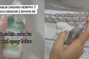 Trik hilangkan noda jamur kehitaman di dinding bikin kinclong lagi, cukup tambah 1 bahan dapur