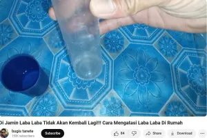 Cukup pakai 1 bahan dapur, begini cara mengusir laba-laba agar tak bikin sarang lagi di rumah