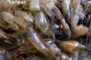 Jangan dibuang, ini trik ubah kulit udang jadi pasta kaldu awet hingga 3 minggu pakai 2 bahan tambahan
