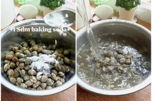 Tak perlu direndam berjam-jam, ini cara bersihkan kerang dari pasir cukup pakai 1 bahan dapur