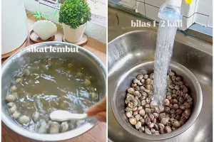 Tak perlu direndam berjam-jam, ini cara bersihkan kerang dari pasir cukup pakai 1 bahan dapur