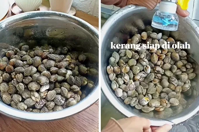 Tak perlu direndam berjam-jam, ini cara bersihkan kerang dari pasir cukup pakai 1 bahan dapur